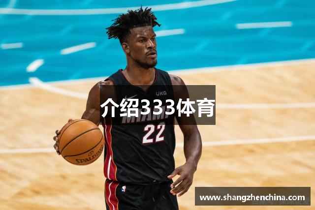介绍333体育